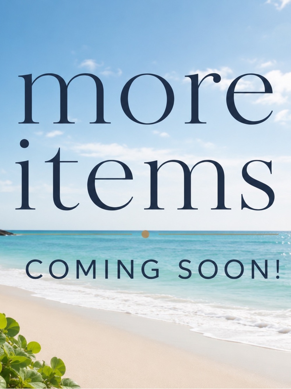 Purses, scarves, shoes, and more jewelry on the way!